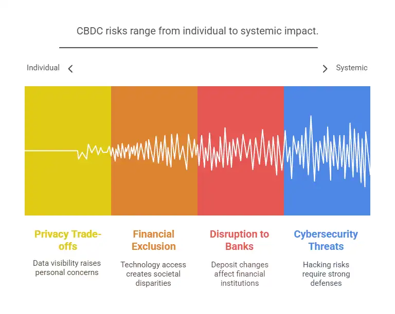 Potential Risks : Privacy Concerns and Financial Stability
